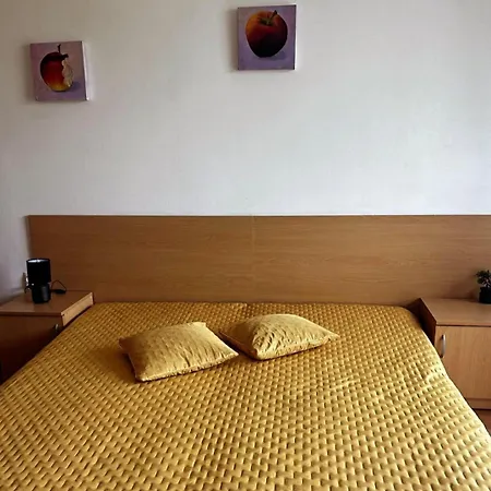 The Comfort Burgaz